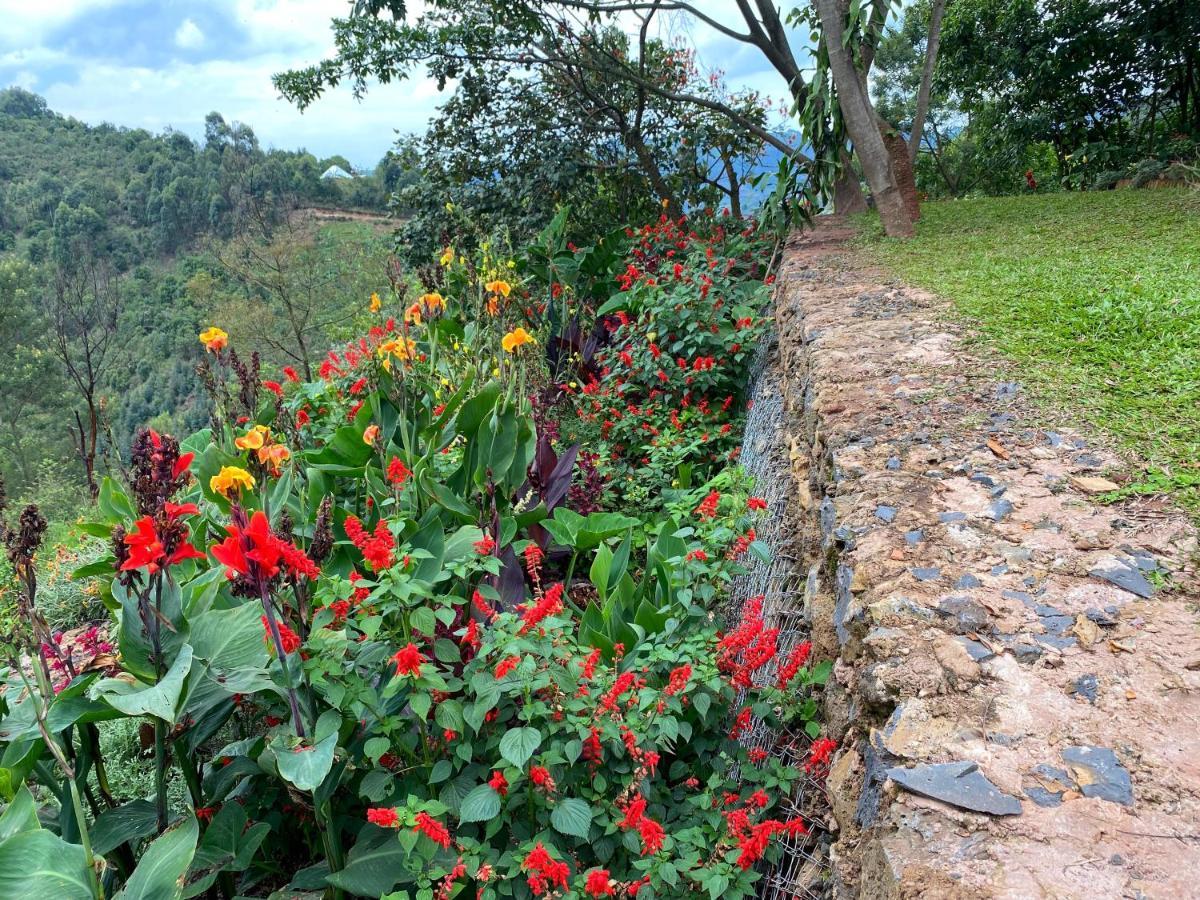 Bwindi Impenetrable Park Chameleon Hill Forest Lodge מראה חיצוני תמונה