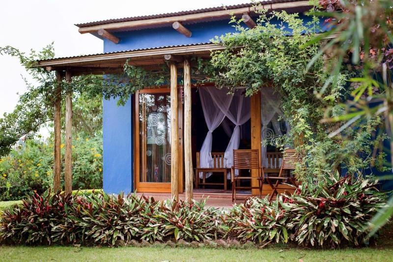Bwindi Impenetrable Park Chameleon Hill Forest Lodge מראה חיצוני תמונה