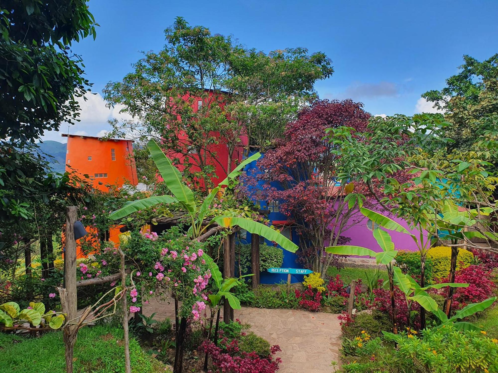 Bwindi Impenetrable Park Chameleon Hill Forest Lodge מראה חיצוני תמונה